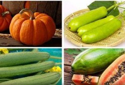 立秋吃瓜的意思,传统习俗中的时令美味与寓意