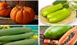 立秋吃瓜的意思,传统习俗中的时令美味与寓意