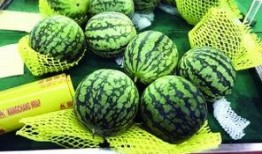 现代吃瓜,揭秘网络时代的围观文化