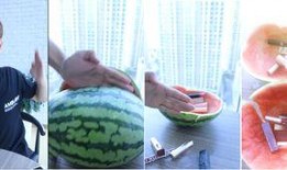 吃瓜的惊喜完整