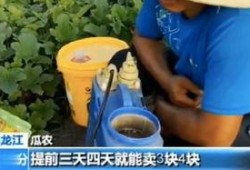 快穿嘎嘎吃瓜,嘎嘎吃瓜，解锁无尽欢乐