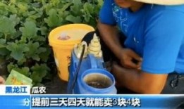 快穿嘎嘎吃瓜,嘎嘎吃瓜，解锁无尽欢乐