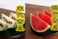 本土吃瓜,揭秘民间趣味与社交现象