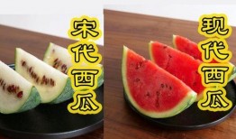 本土吃瓜,揭秘民间趣味与社交现象