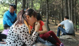 文安户外吃瓜,夏日吃瓜盛宴，共享清凉时光