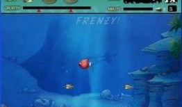 鲨鱼吃瓜很多小鱼视频,水下生态大揭秘