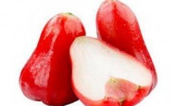 莲雾视频吃瓜网,揭秘热门话题背后的真相与笑料