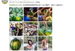 院校吃瓜视频,吃瓜视频背后的院校风云