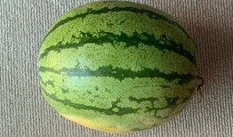 世界吃瓜法则,揭秘世界各地的独特美食文化