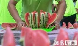 竞人集体吃瓜,竞人集体吃瓜，欢乐无限