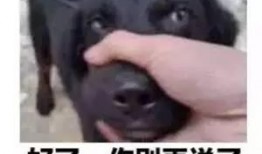 怼吃瓜群众表情,揭秘“怼吃瓜群众”表情背后的网络文化现象