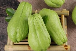 吃炒佛手瓜