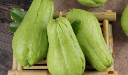 吃炒佛手瓜