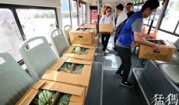 吃瓜公交,揭秘公交车上那些令人捧腹的趣事