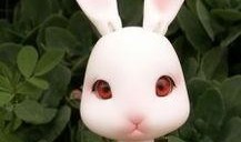 道具萌兔吃瓜,趣味横生的奇幻冒险之旅