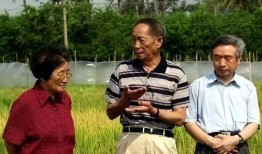 林馨蕊同学吃瓜,揭秘校园里的“瓜田”趣事