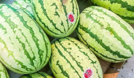 熙瓜瓜吃瓜,揭秘娱乐圈幕后故事