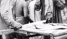 朝阳吃瓜大队,揭秘都市里的“瓜田”风云