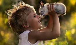 小马吃瓜摄影师,捕捉生活中的美好瞬间