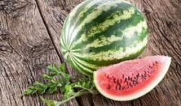 吃喷瓜视频,舌尖上的刺激与欢笑之旅