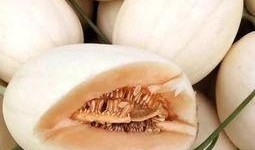 东方小蜜瓜怎么吃