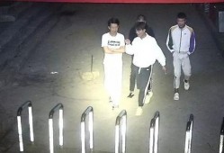 吃瓜群众自己吃瓜视频,揭秘吃瓜群众自制吃瓜视频背后的趣味与智慧