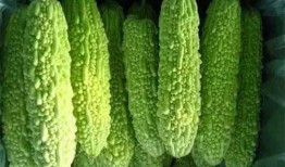 最近南宁吃瓜事件,一场网络热议背后的真相与反思