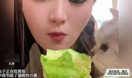 吃瓜少女语音,揭秘娱乐圈幕后故事