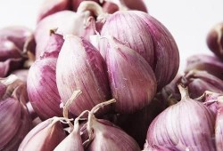 丑哥吃佛手瓜,丑哥的佛手瓜美食之旅