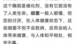 网传解剖吃瓜,揭秘背后真相与伦理争议