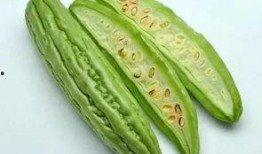 板凳打卡吃瓜,吃瓜群众的新潮流