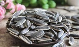 吃瓜和瓜子视频,瓜子视频带你领略娱乐盛宴