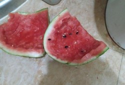 新疆疫情吃瓜,吃瓜群众视角下的防疫战记