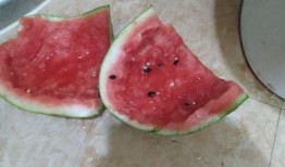 新疆疫情吃瓜,吃瓜群众视角下的防疫战记