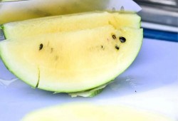 贴吧吃的瓜,那些让人垂涎欲滴的美食瓜