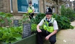 小镇的吃瓜少年,揭秘乡村少年的成长故事