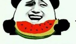 不吃瓜那吃啥,探索多元娱乐新选择