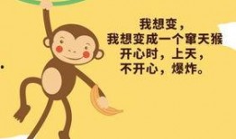 吃瓜助攻文案短句,轻松解读娱乐圈风云变幻