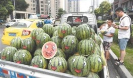 青岛吃瓜群众免费吃瓜微信区,青岛瓜友集结！免费吃瓜活动微信专区火热开启