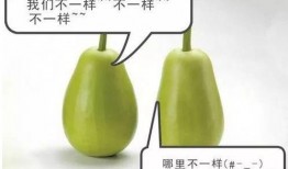 可安吃瓜,揭秘娱乐圈幕后故事