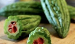 朴洛熙吃瓜,揭秘娱乐圈背后的秘密与真相