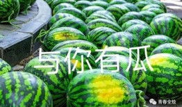 大学肩带吃瓜,揭秘校园里的“吃瓜”文化现象