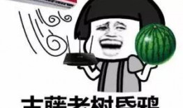 许昌最新吃瓜消息,揭秘本地热门事件背后的真相与幕后故事