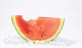 echo早起吃瓜,探索“echo早起吃瓜”的独特魅力