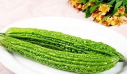 花臂老师 吃瓜,揭秘娱乐圈幕后故事