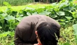 吃喷瓜视频,舌尖上的刺激与欢笑之旅