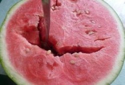 吃瓜导致呕吐腹泻,呕吐腹泻的警示与应对