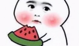 吃瓜长老混音单身版,吃瓜长老混音版带你领略单身生活的独特魅力