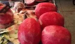 学院上下铺吃瓜群众,上下铺吃瓜群众揭秘校园生活点滴