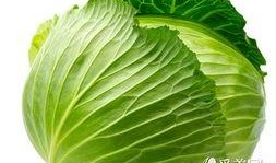 瓜菜煮着吃,瓜菜煮着吃的独特魅力